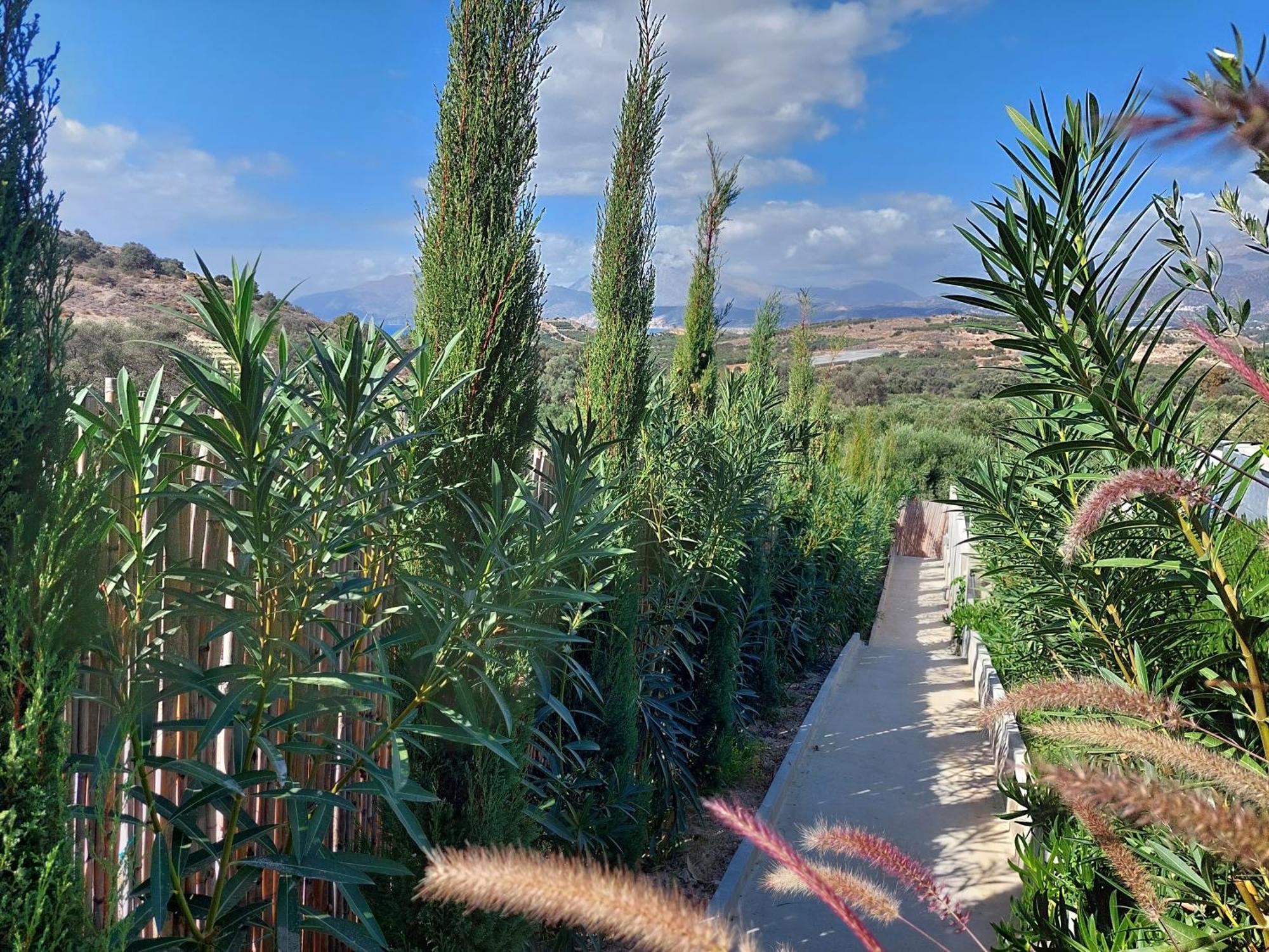 Marnos Luxury Villas Kamilari Dış mekan fotoğraf